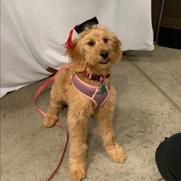 Meet your seller/buyer! - Picture 3 of 3